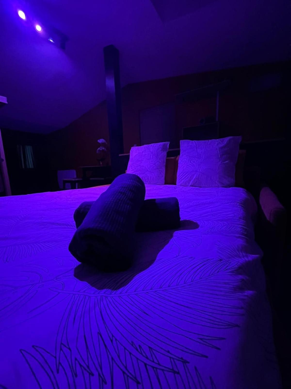 Suite Avec Sauna 36M² Niort Luaran gambar